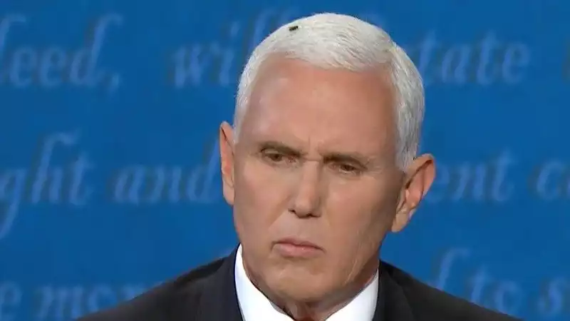 A fly caught in Mike Pence's hair during the vice presidential debate, and Twitter went wild.